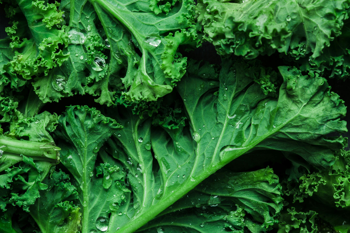 Nourish From Within: Wilted Kale & Roasted Butternut Squash Salad