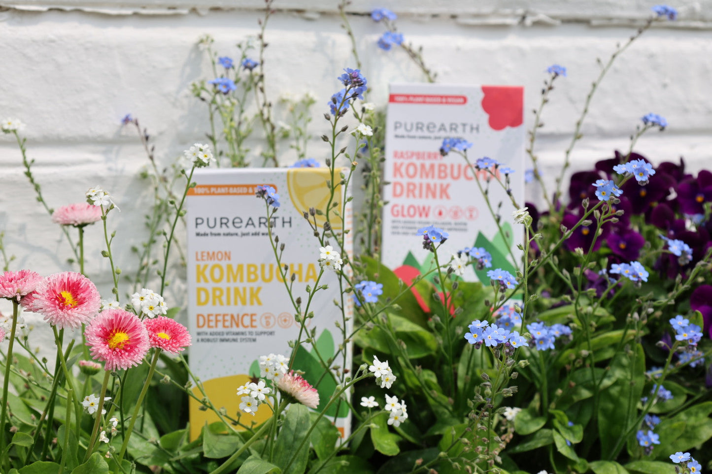 Spring Equinox Wellness